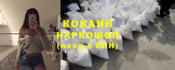 шишки Верея