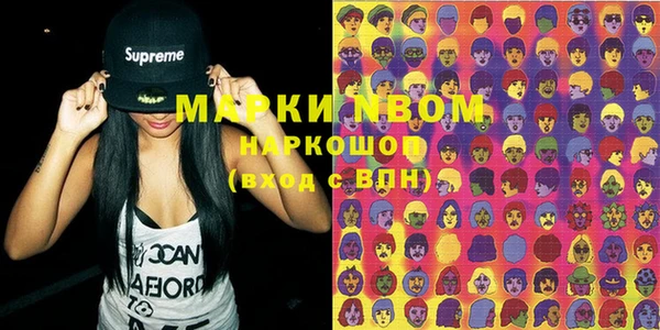 шишки Верея