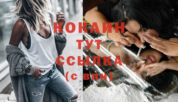 шишки Верея