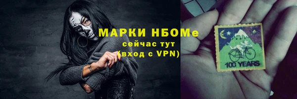 шишки Верея
