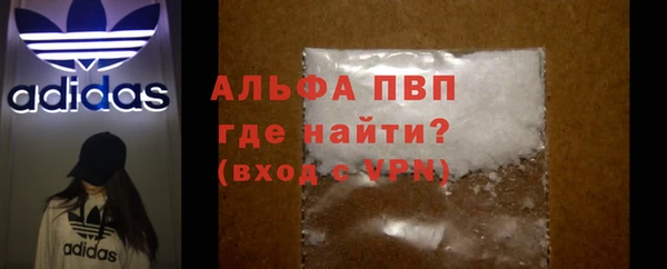 шишки Верея