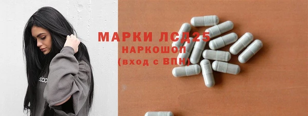 шишки Верея