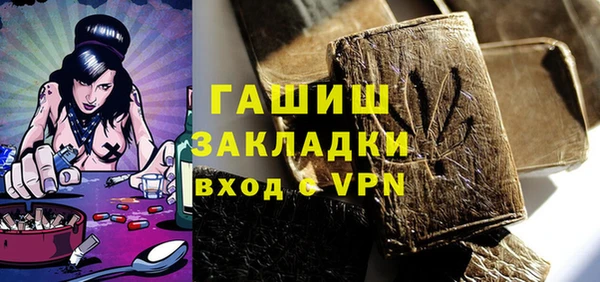 шишки Верея