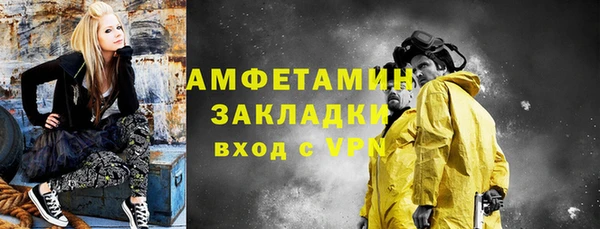 шишки Верея