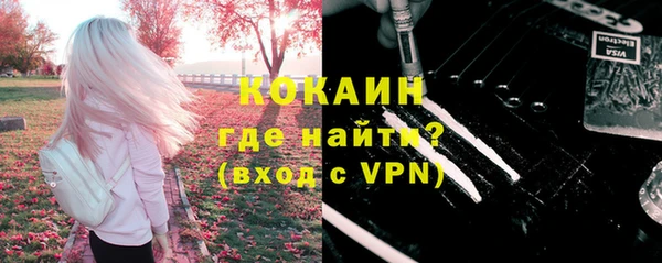 шишки Верея
