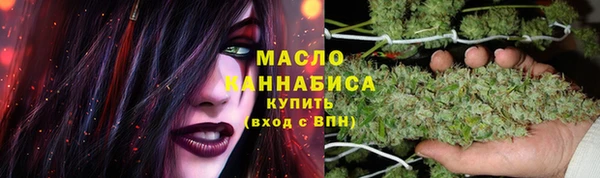 шишки Верея