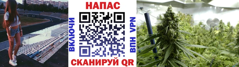 Канабис AK-47  Купить закладки  Жуков 